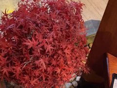 -小天厨民间菜馆(深圳街店)