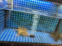 -碧海银沙海鲜餐厅(恒大海上威尼斯店)