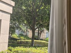 -澜沧古茶·商务茶馆(萧山人民广场店)