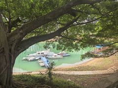 -广州市流溪河国家森林公园