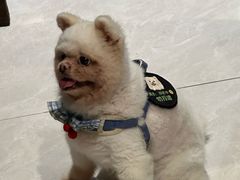 -映日农场无花果鸡(滨江东路店)