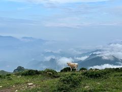 -灵山