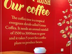 -COSTA COFFEE(百葛服务区店)