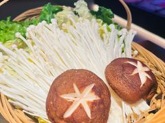 -同仁四季椰子鸡(宝安壹方城店)