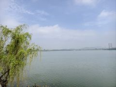 -蠡湖中央公园