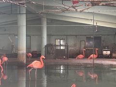 -石家庄市动物园