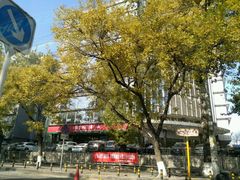 -北京稻香村(第三店)