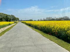 -中国天府农业博览园