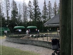 -前小桔亲子创意农场·草莓采摘·露营烧烤