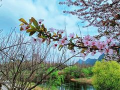 -贵阳市花溪国家城市湿地公园