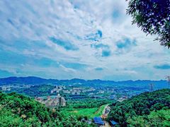 -南山植物园