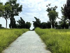 -汉长安城未央宫国家考古遗址公园