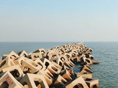 -东疆建设开发纪念公园
