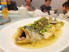 清蒸笋壳鱼-上海会馆(香港名都店)