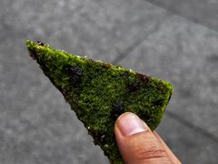 -重八牛府之小有名气(大望路店)
