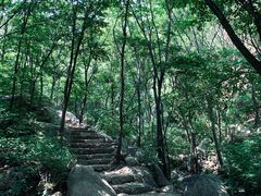 -大岭沟猕猴桃谷风景区