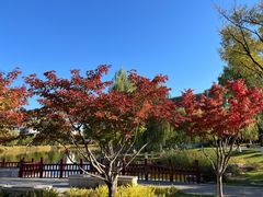 -西海子公园