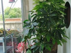 -川悦壹号·川菜(蠡溪路店)