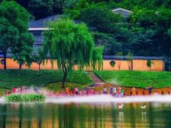 -重庆彩云湖湿地公园