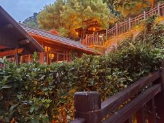 -徂徕山森林康养度假谷温泉