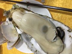 -蚝专家(北滘店)