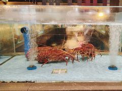 -阿伟海鲜楼·福建菜(延寿店)