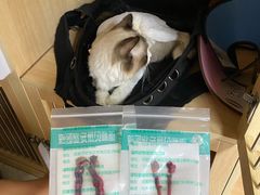-谐和贝康宠物医院24小时·宠保定点(急重症转诊中心)