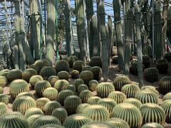 -南山植物园
