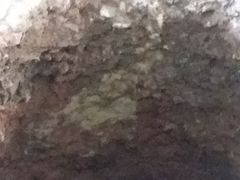 -南越王博物院(王宫展区)