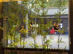 -蓉城小馆(科兴店)