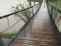 -枫林花海