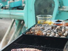 -白河湾生态旅游一条川