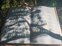 -茅兰沟国家森林公园