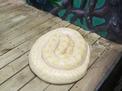 -石家庄市动物园