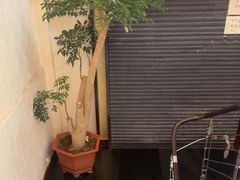 -沱江鱼府(丽江店)
