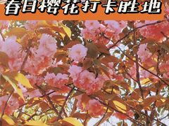 -嘉北郊野公园