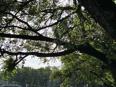 -桂林市榕杉湖景区