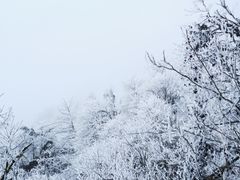 -九峰山
