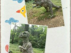 -原山国家森林公园