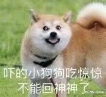 -西班牙语王国