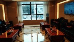 -碧莲盛·不剃发植发