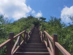 -大岭沟猕猴桃谷风景区