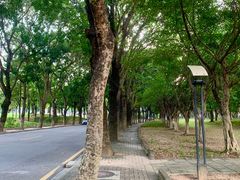 -华南师范大学(广州大学城校区)