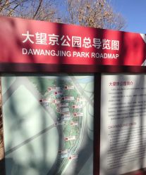 -大望京儿童游乐场