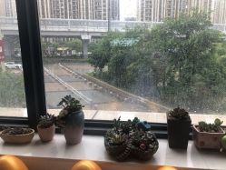 点击看大图 -尚艺造型.剪烫染.接发