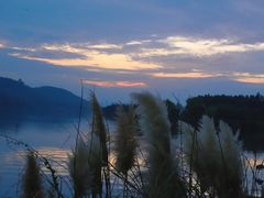 -东湖落雁景区