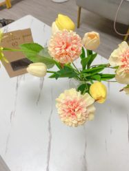 -凡碧诗毛孔收细