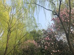 -星巴克(西湖天地店)