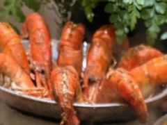 -隅乐胡椒虾·台湾菜·团建(皇岗店)
