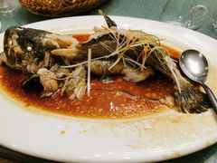 清蒸鳜鱼-邓丽君音乐主题餐厅